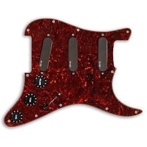 EMG VG20 Vince Gill Set (S set + SPC)｜並行輸入品