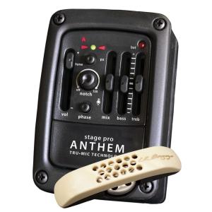 Crowther Audio Hotcake V2｜Hot cake｜クラウザーオーディオ｜ホット