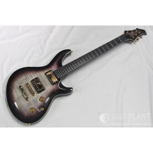 Schecter SD-II-24 BW Basswood パープル《エレキギター
