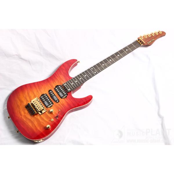 SCHECTER(シェクター) EX-5B-24-CTM-FTR-PFN/CHSB/E