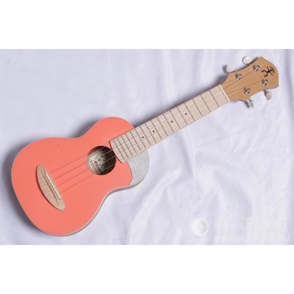 【店頭展示品】aNueNue(アヌエヌエ) aNN-US-10 LC