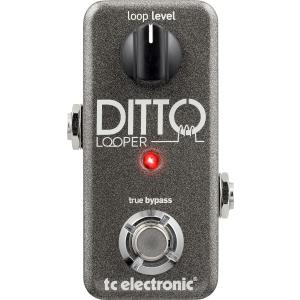 TC Electronic(TCエレクトロニック) Ditto Looper｜musicplant