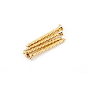 Fender(フェンダー) Neck Mounting Screws, Gold, (4)｜musicplant