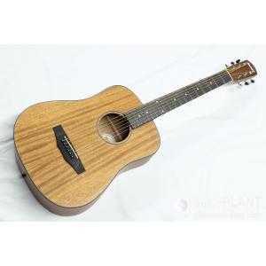 KING常田愛機モーリスF　絶版モデル  今度は単板モデルだよ！ Morris MORRIS G-18 MO Made in Japan キングヌー 常田大希使用モデル