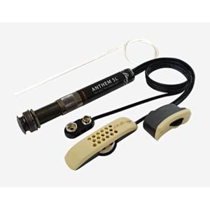 L.R.Baggs Element VTC アコースティック用ピックアップ : ギター