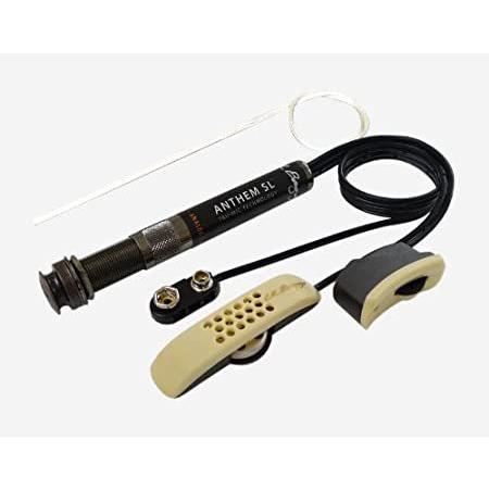 L.R.Baggs エルアールバッグス / ANTHEM SL Microphoneピックアップ ア...