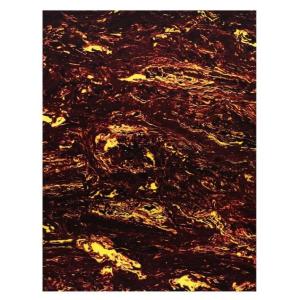 【新】SCUD(スカッド) / F-PGBT　アコースティックギター用　ピックガードシート　茶べっ甲...