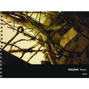 赤澤洋次 - Akazawa Yohzi Works (CD)｜musique69
