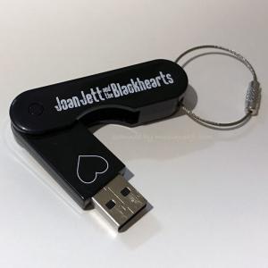 ジョーンジェット Joan Jett and The Blackhearts - Unvarnished: Exclusive USB Edition｜musique69