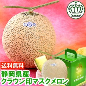 お中元 ギフト 静岡温室メロン 超大玉1.7kg×2個 : しずおか夢工房
