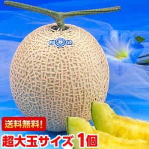 お中元 ギフト 静岡温室メロン 超大玉1.7kg×1個