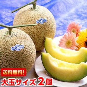 お中元 ギフト 静岡温室メロン 超大玉1.7kg×2個 : しずおか夢工房