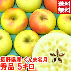 長野県産 ぐんま名月 秀品5kg