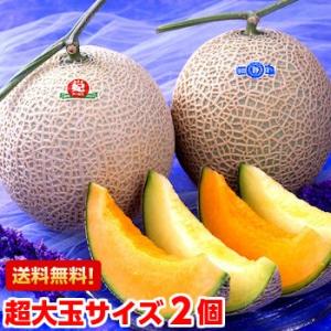 マスクメロン 赤肉限定 2玉入り 計約3kg 高知又茨城産 贈答規格 JA共撰