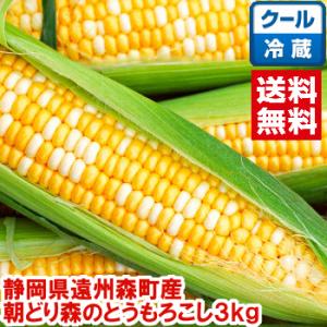 朝どり 森のとうもろこし3kg
