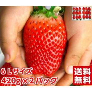 静岡県産 超大粒章姫(あきひめ)いちご420g×2