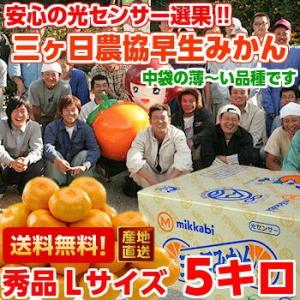 三ケ日みかん（早生） 秀品Ｌサイズ5ｋｇ