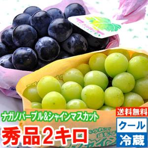 ナガノパープル＆シャインマスカット 秀品2ｋｇ（3-5房）