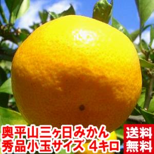 お歳暮 ギフト 奥平山三ケ日みかん 秀品LMサイズ 4kg