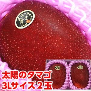 父の日 プレゼント ギフト 太陽のタマゴ 超大玉3Lサイズ２個｜muskmelon