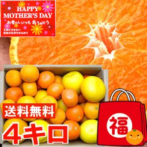 母の日 2024 ギフト 初夏の柑橘セット