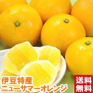 静岡県伊豆産 ニューサマーオレンジ 秀品4kg｜muskmelon