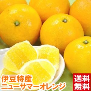 静岡県伊豆産 ニューサマーオレンジ 秀品4kg