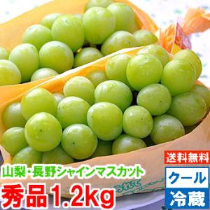 山梨県・長野県産 大房シャインマスカット 秀品3Lサイズ1.2kg（2房）