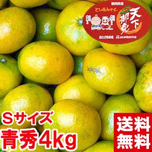 静岡県産 ゆら早生みかん 青秀Sサイズ 4kg