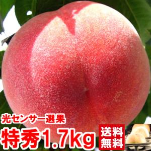 （常温便）お中元 ギフト 山梨県産プレミアム完熟もも 特秀1.7ｋｇ
