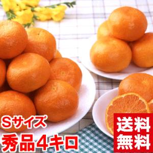 静岡県産 片山みかん 秀品Ｓサイズ4kg