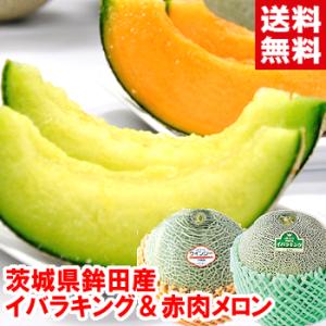 島根県産 アムスメロン （益田メロン） 秀品 2Lサイズ 6玉入り （箱