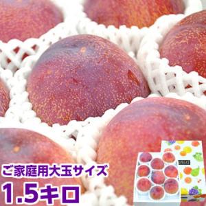 山梨県産 貴陽（きよう） ご家庭用 大玉サイズ約1.5kg
