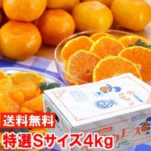 お歳暮 ギフト 静岡県産 三ヶ日みかん ミカエース 特選Sサイズ4kg