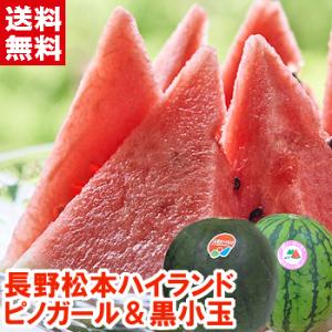グラッパ【ムラーノ/Murano】500ml ベネチアングラスボトル