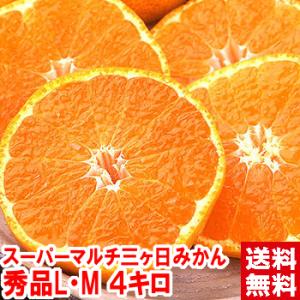 スーパーマルチ三ケ日みかん 秀品L・Mサイズ4ｋｇ