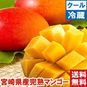 宮崎県産完熟マンゴー 赤秀3Lサイズ2個｜muskmelon