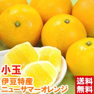 静岡県伊豆産 小玉ニューサマーオレンジ 秀品 S4kg