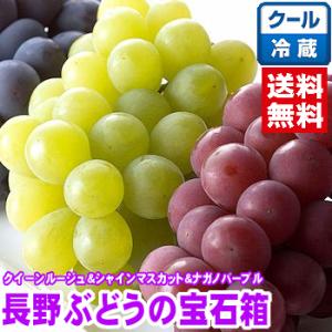長野県産ぶどうの宝石箱（クイーンルージュ＆シャインマスカット＆ナガノパープル）秀品1.5Kg（3房入）
