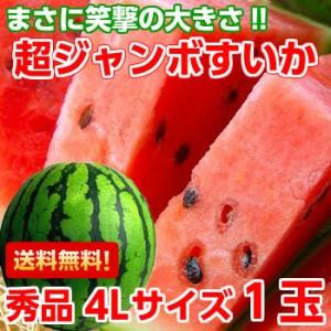 静岡県産 超ジャンボすいか 秀品4Lサイズ１個｜muskmelon