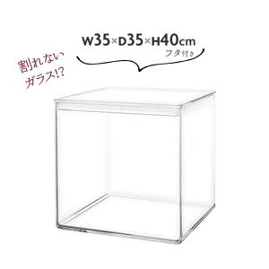 透明 ケース フタ付 25×12.5×25cm アクリルより丈夫 大きい