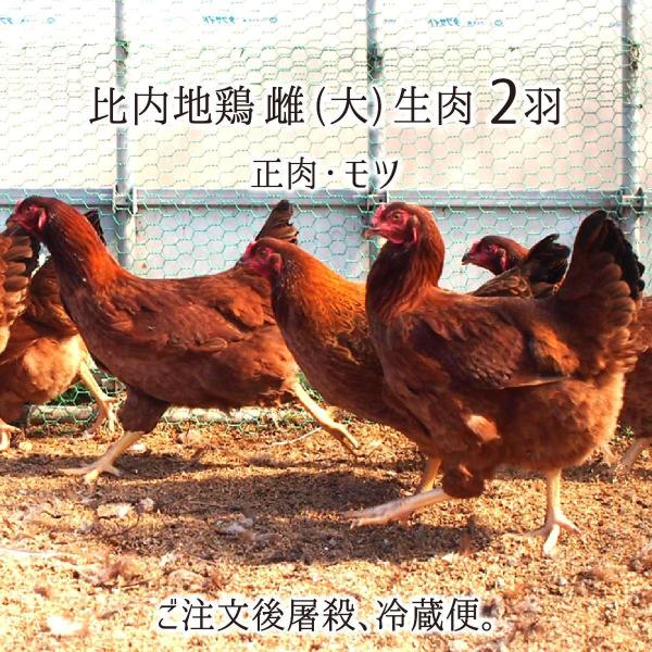 比内地鶏 雌 大型 2羽 生肉(正肉 約2.6kg・もつ 約300g) 秋田県大仙市産 むね/もも/...