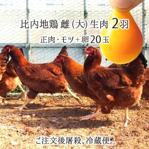 高級感 比内地鶏 肉 卵セット 大型2羽 生肉 正肉 約2 4kg もつ 約340g 卵 玉 秋田県大仙市産 むね もも ささみ せせり 手羽先 皮他 ハツ レバー 砂肝 Premiercustomdecks Com