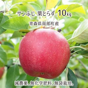 サンふじ 葉とらず 10kg 減農薬 無化学肥料...の商品画像