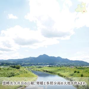 サンふじ 葉とらず 10kg 減農薬 無化学肥...の詳細画像1