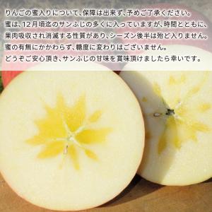 サンふじ 葉とらず 10kg 減農薬 無化学肥...の詳細画像4