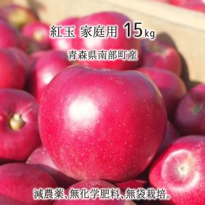 紅玉 訳あり 15kg 減農薬 無化学肥料 青森県南部町産 りんご 家庭用 60〜75玉 10月中旬〜11月中旬 送料無料