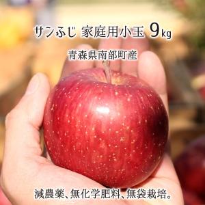 サンふじ 秀品・訳あり混載(小玉) 9kg 減農薬 無化学肥料 青森県南部産 りんご 家庭用 46〜60玉 11月下旬〜3月下旬 送料無料