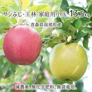 否バラ詰め 青森県産【B級品・サンふじ・20kg（20キロ）用 木箱 サイズ