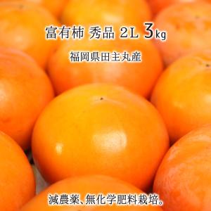 富有柿 秀品 2L 3kg 減農薬 無化学肥料 福岡県田主丸町産 柿 甘柿 8〜10玉 11月上旬〜1月中旬 送料無料｜musubi-ichiba